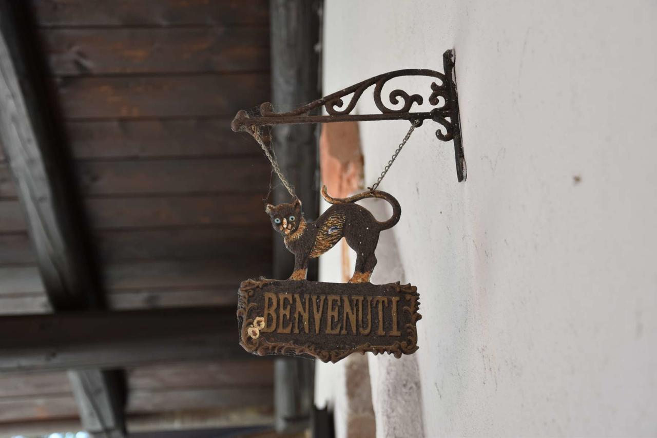 B&B La Dolce Vita Priocca Zewnętrze zdjęcie